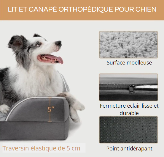 chien, lit, compagnons, orthopédique, boire, animal