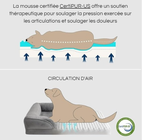 chien, lit, compagnons, orthopédique, boire, animal