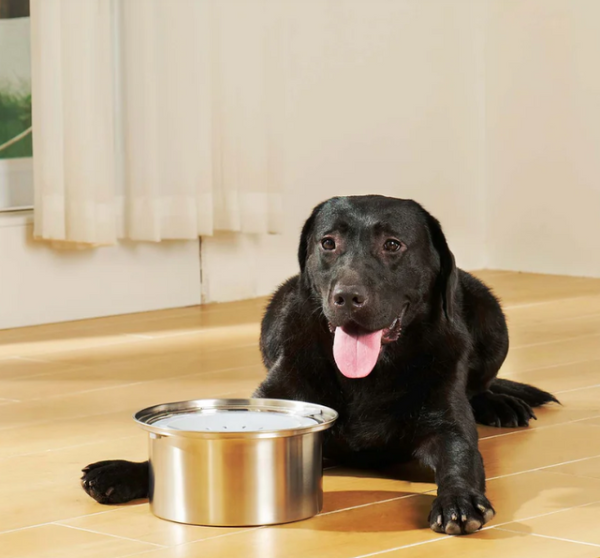 Gamelle Zéro Splash Ultra